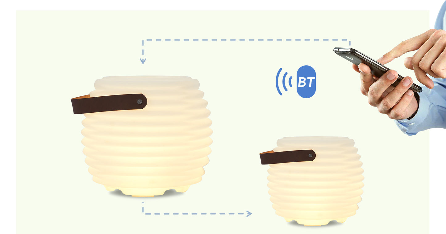 L4 Light, Wine Cooler, Bluetooth Speaker